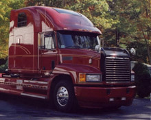 Composite body panels for trucks, buses, recreational vehicules and special vehicules